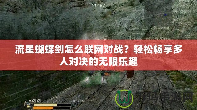 流星蝴蝶劍怎么聯網對戰？輕松暢享多人對決的無限樂趣