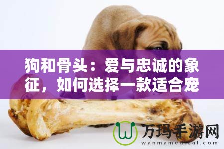 狗和骨頭：愛與忠誠的象征，如何選擇一款適合寵物的骨頭？