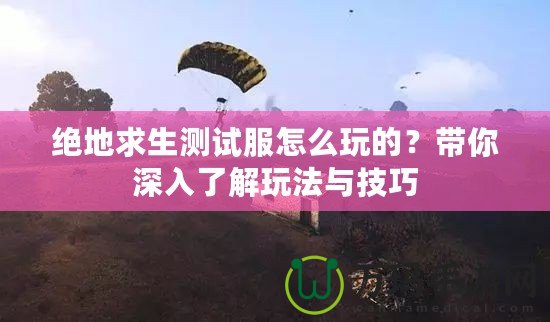 絕地求生測試服怎么玩的？帶你深入了解玩法與技巧