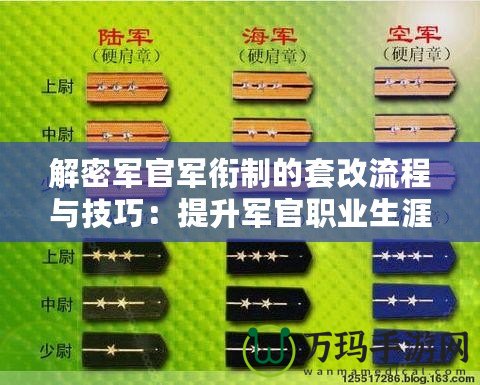 解密軍官軍銜制的套改流程與技巧：提升軍官職業生涯的捷徑