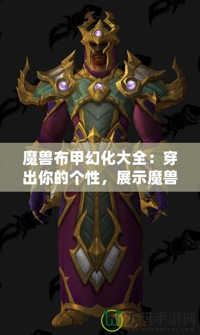 魔獸布甲幻化大全：穿出你的個(gè)性，展示魔獸世界的魅力