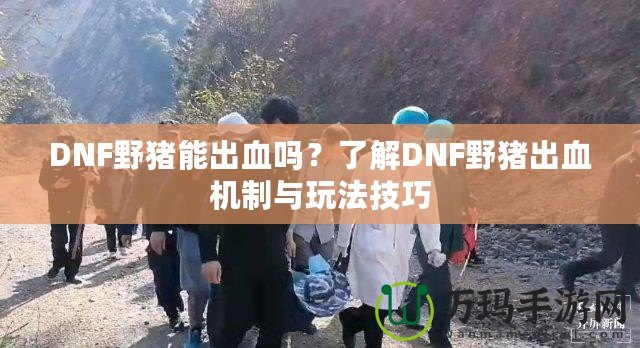 DNF野豬能出血嗎？了解DNF野豬出血機制與玩法技巧