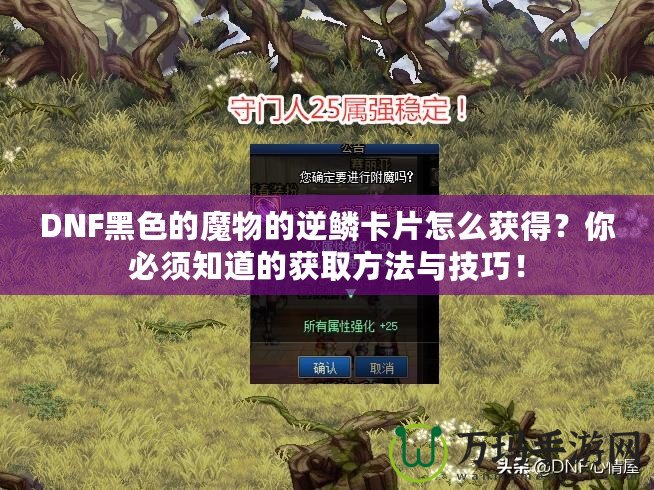 DNF黑色的魔物的逆鱗卡片怎么獲得？你必須知道的獲取方法與技巧！