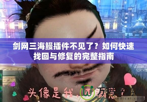 劍網(wǎng)三海鰻插件不見(jiàn)了？如何快速找回與修復(fù)的完整指南