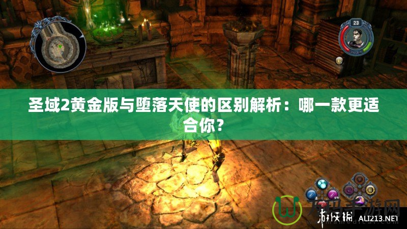 圣域2黃金版與墮落天使的區別解析：哪一款更適合你？