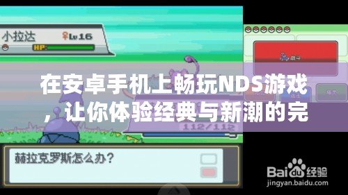 在安卓手機(jī)上暢玩NDS游戲，讓你體驗(yàn)經(jīng)典與新潮的完美結(jié)合