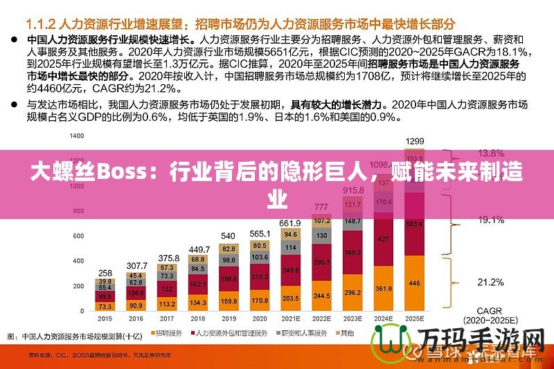 大螺絲Boss：行業背后的隱形巨人，賦能未來制造業