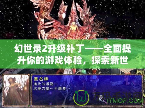 幻世錄2升級(jí)補(bǔ)丁——全面提升你的游戲體驗(yàn)，探索新世界