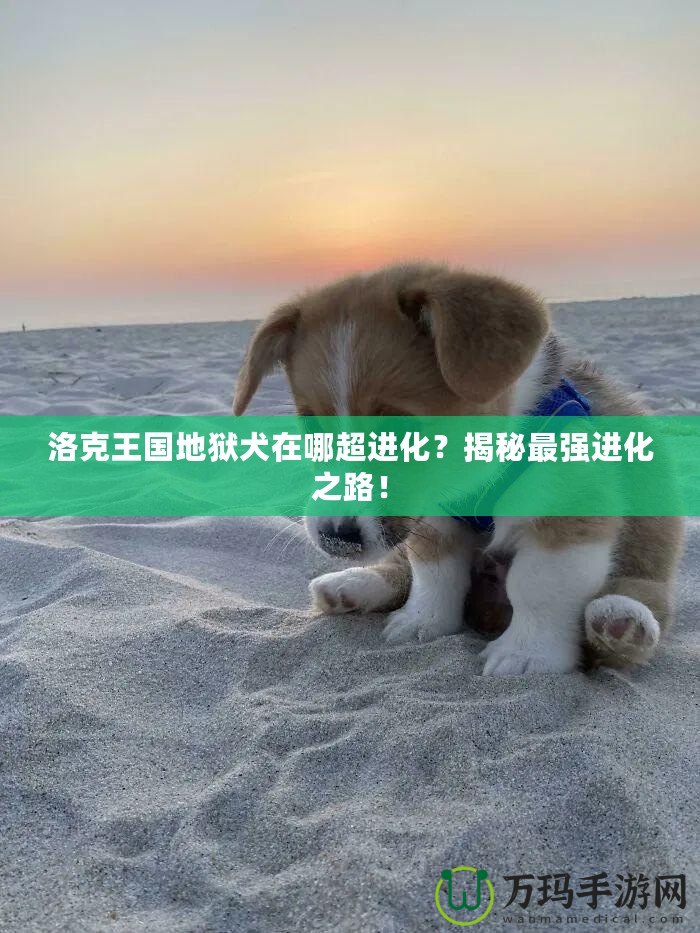 洛克王國(guó)地獄犬在哪超進(jìn)化？揭秘最強(qiáng)進(jìn)化之路！