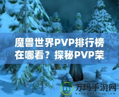 魔獸世界PVP排行榜在哪看？探秘PVP榮耀的捷徑！