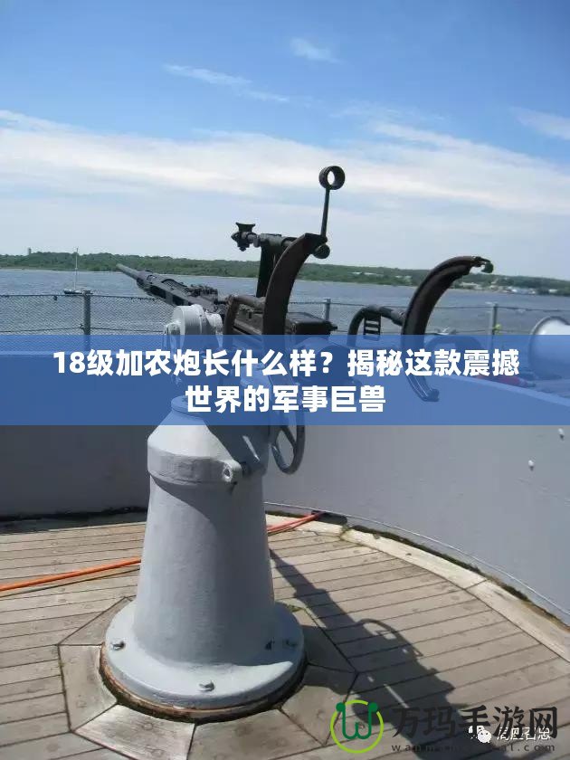 18級加農炮長什么樣？揭秘這款震撼世界的軍事巨獸