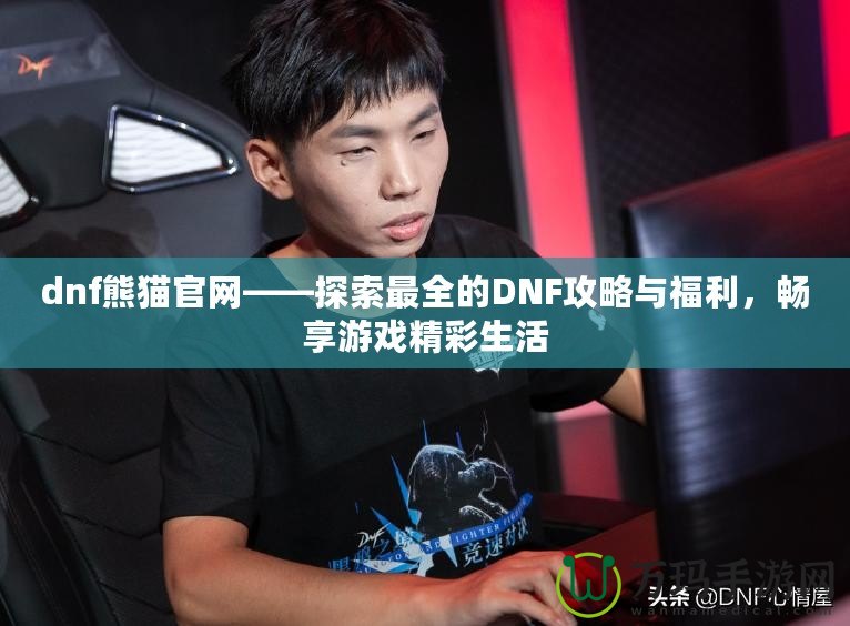 dnf熊貓官網——探索最全的DNF攻略與福利，暢享游戲精彩生活