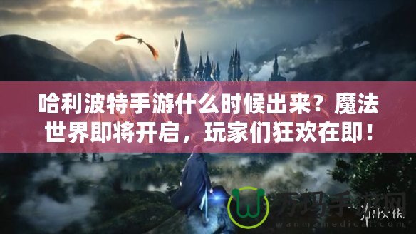 哈利波特手游什么時候出來？魔法世界即將開啟，玩家們狂歡在即！