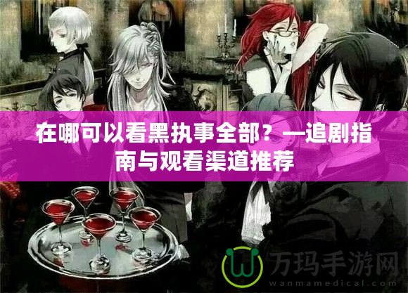 在哪可以看黑執事全部？—追劇指南與觀看渠道推薦