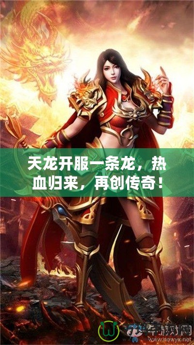 天龍開服一條龍，熱血歸來，再創(chuàng)傳奇！