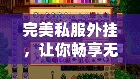 完美私服外掛，讓你暢享無與倫比的游戲體驗！