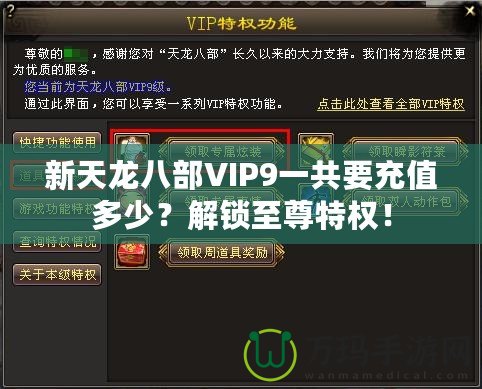 新天龍八部VIP9一共要充值多少？解鎖至尊特權！