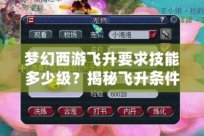 夢幻西游飛升要求技能多少級？揭秘飛升條件與技巧，助你輕松跨越飛升門檻！