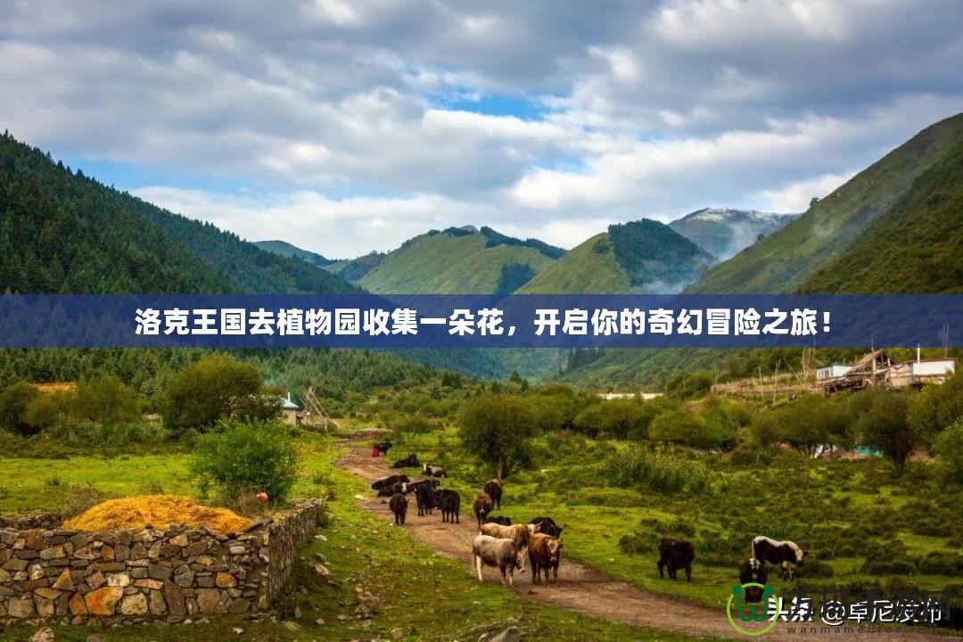 洛克王國去植物園收集一朵花，開啟你的奇幻冒險之旅！
