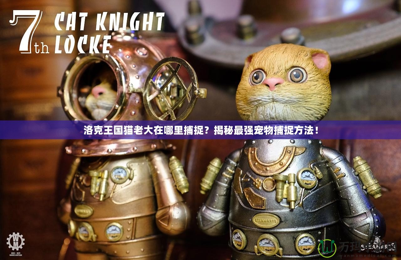 洛克王國貓老大在哪里捕捉？揭秘最強寵物捕捉方法！