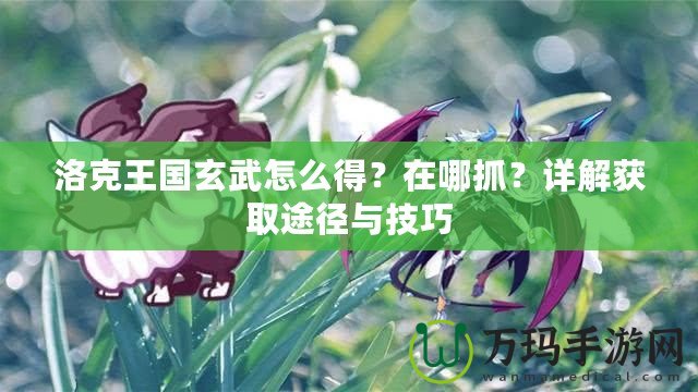 洛克王國玄武怎么得？在哪抓？詳解獲取途徑與技巧