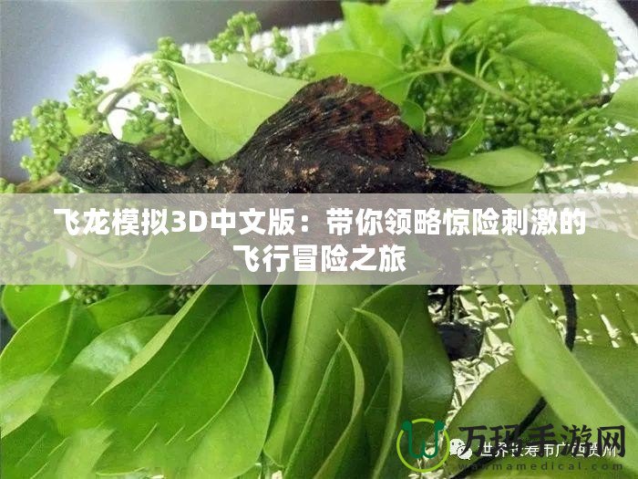 飛龍模擬3D中文版：帶你領略驚險刺激的飛行冒險之旅