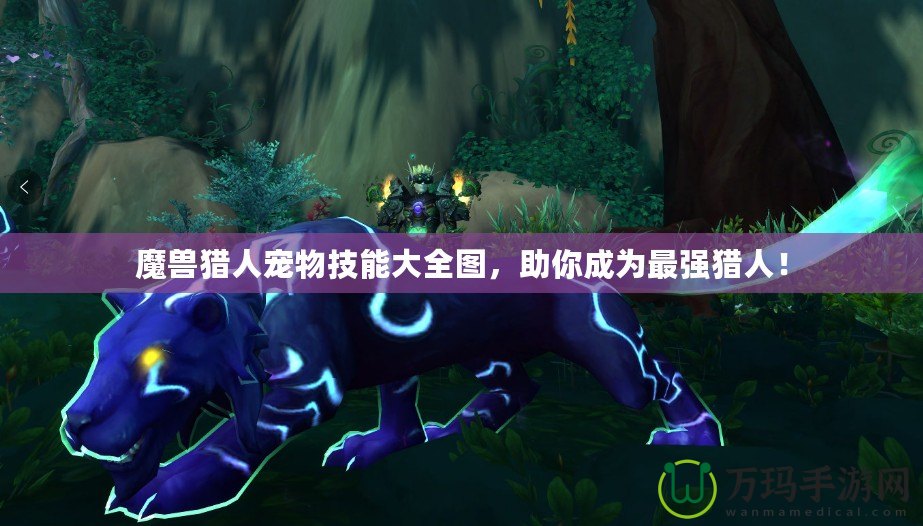 魔獸獵人寵物技能大全圖，助你成為最強獵人！
