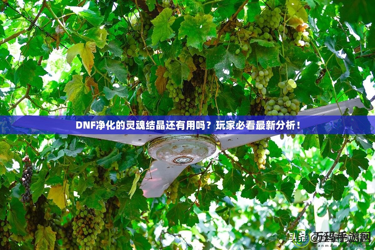 DNF凈化的靈魂結晶還有用嗎？玩家必看最新分析！