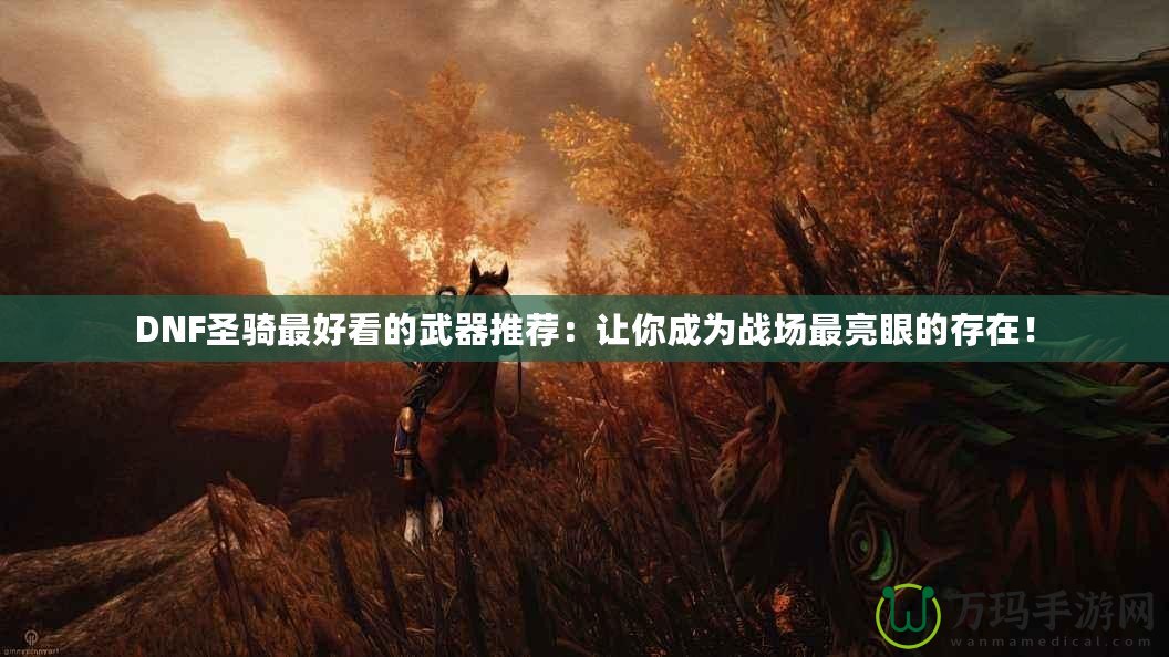 DNF圣騎最好看的武器推薦：讓你成為戰場最亮眼的存在！