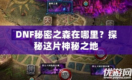 DNF秘密之森在哪里？探秘這片神秘之地