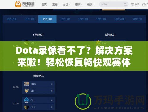 Dota錄像看不了？解決方案來(lái)啦！輕松恢復(fù)暢快觀賽體驗(yàn)
