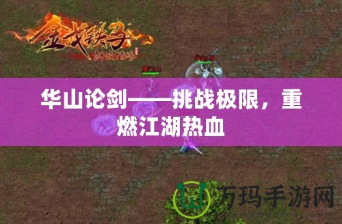 華山論劍——挑戰(zhàn)極限，重燃江湖熱血
