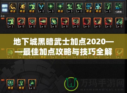 地下城黑暗武士加點2020——最佳加點攻略與技巧全解析