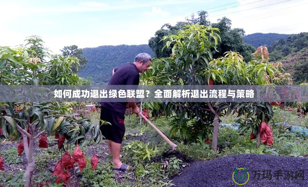 如何成功退出綠色聯(lián)盟？全面解析退出流程與策略