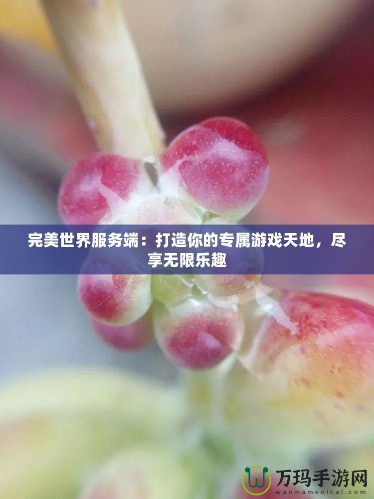完美世界服務端：打造你的專屬游戲天地，盡享無限樂趣