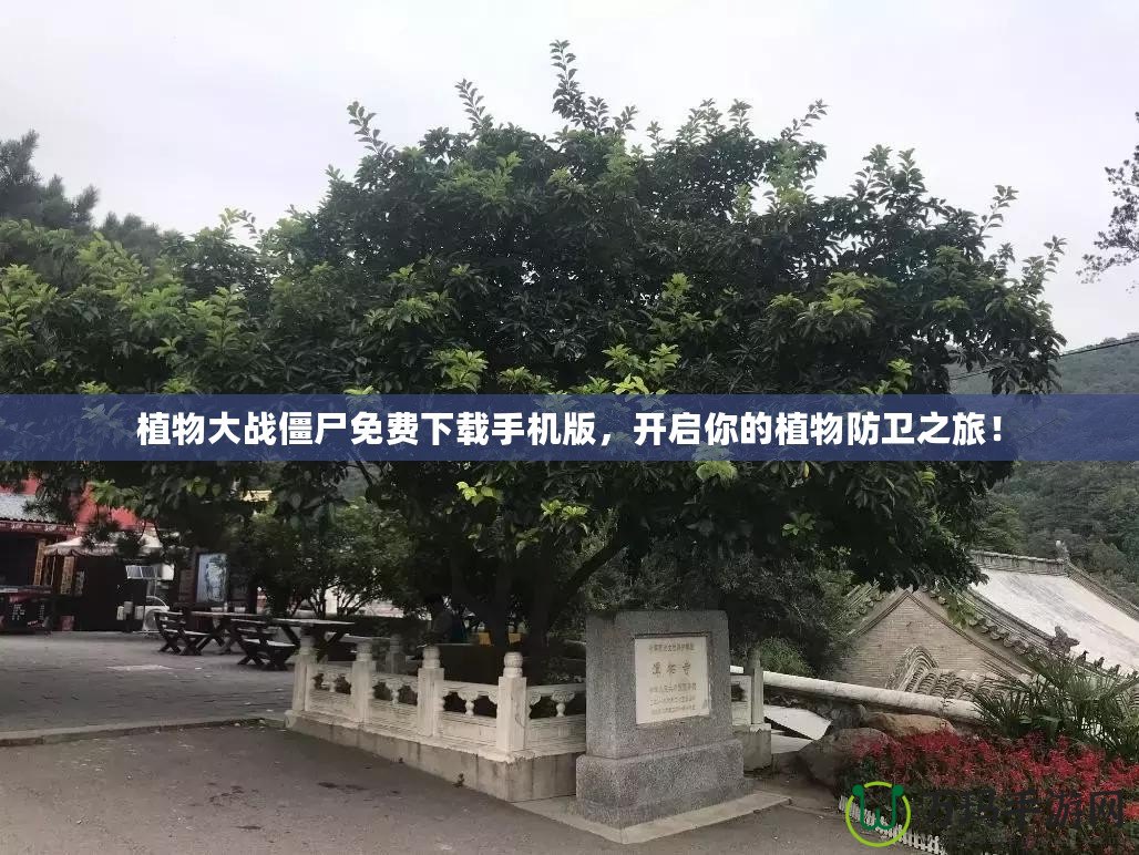 植物大戰(zhàn)僵尸免費(fèi)下載手機(jī)版，開(kāi)啟你的植物防衛(wèi)之旅！