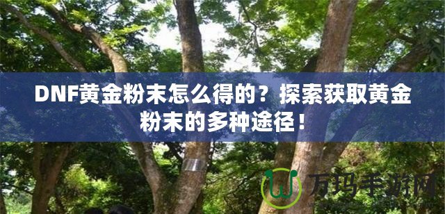 DNF黃金粉末怎么得的？探索獲取黃金粉末的多種途徑！