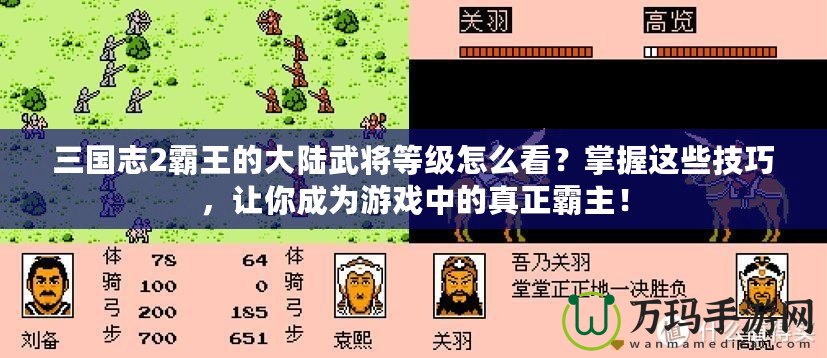三國志2霸王的大陸武將等級怎么看？掌握這些技巧，讓你成為游戲中的真正霸主！