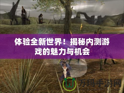 體驗(yàn)全新世界！揭秘內(nèi)測(cè)游戲的魅力與機(jī)會(huì)