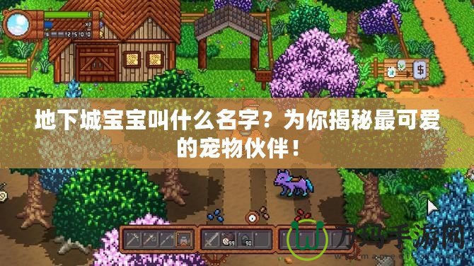 地下城寶寶叫什么名字？為你揭秘最可愛的寵物伙伴！