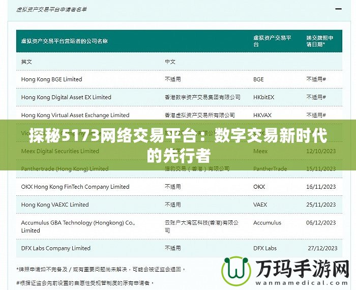 探秘5173網絡交易平臺：數字交易新時代的先行者
