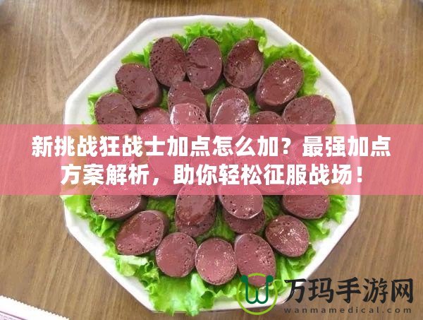新挑戰狂戰士加點怎么加？最強加點方案解析，助你輕松征服戰場！