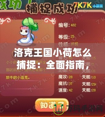 洛克王國小荷怎么捕捉：全面指南，助你輕松擁有小荷寵物！