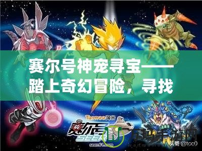 賽爾號神寵尋寶——踏上奇幻冒險，尋找神秘寶藏！
