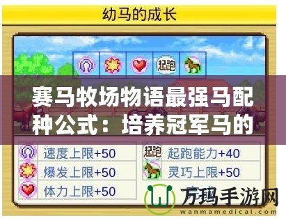 賽馬牧場物語最強馬配種公式：培養冠軍馬的秘密