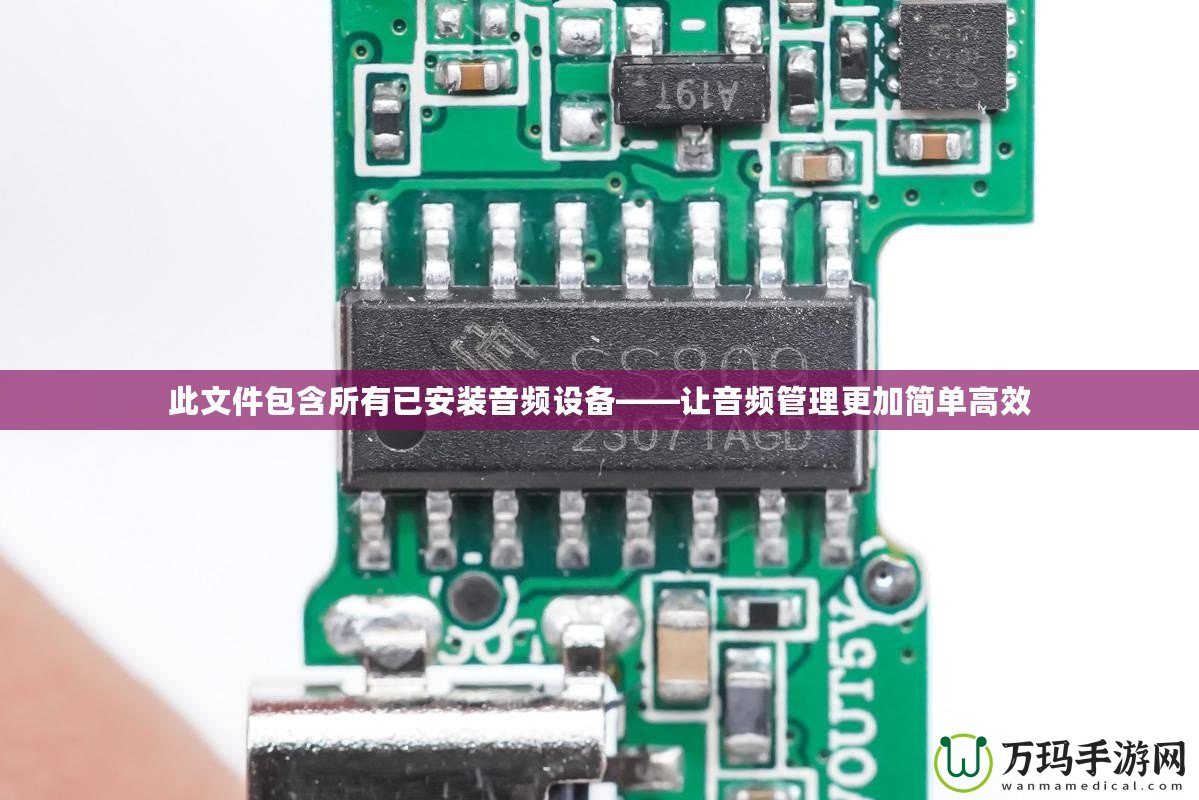 此文件包含所有已安裝音頻設備——讓音頻管理更加簡單高效