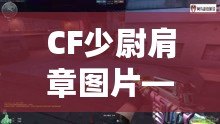 CF少尉肩章圖片——領略軍裝魅力，展現自信風采