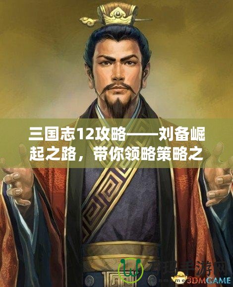 三國(guó)志12攻略——?jiǎng)溽绕鹬罚瑤泐I(lǐng)略策略之美！