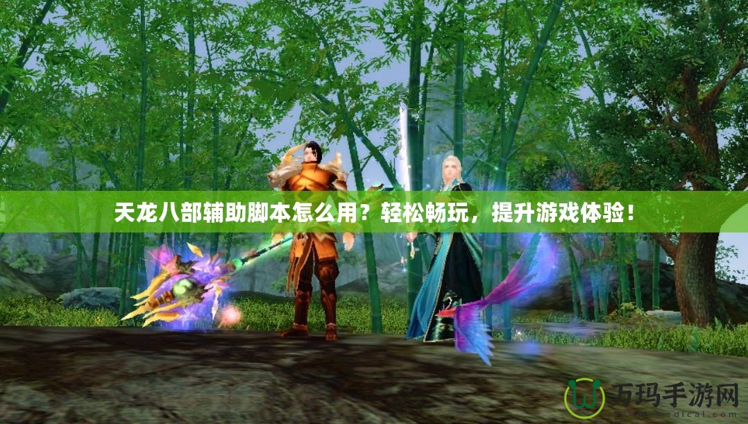 天龍八部輔助腳本怎么用？輕松暢玩，提升游戲體驗！
