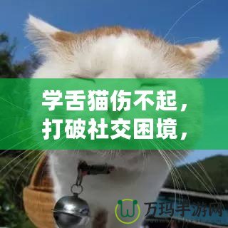 學舌貓傷不起，打破社交困境，找回自信與快樂！
